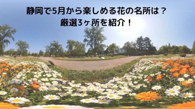 静岡で5月から楽しめる花の名所は？ 厳選3ヶ所を紹介！