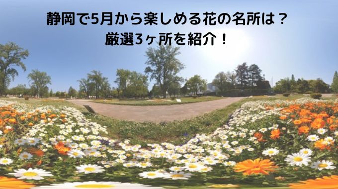 静岡で5月から楽しめる花の名所は？ 厳選3ヶ所を紹介！